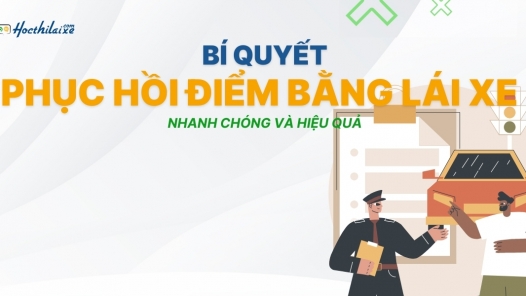 "Bí quyết" PHỤC HỒI ĐIỂM bằng lái xe nhanh chóng và hiệu quả