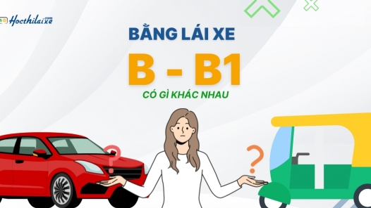 Năm 2025 Bằng lái xe B B1 có gì khác nhau - Cập nhập BLX mới nhất