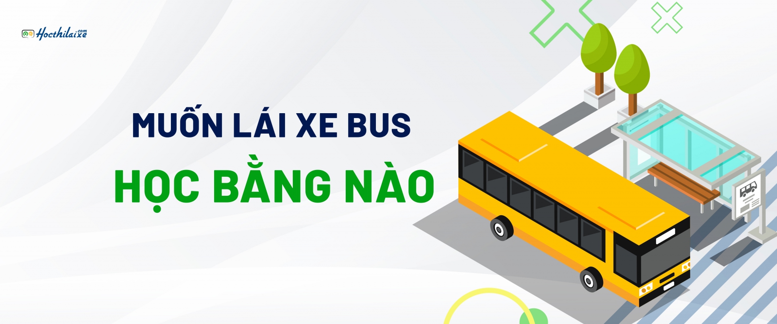 Muốn lái xe buýt cần có loại giấy phép lái xe nào?