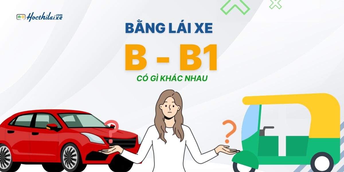 Năm 2025 Bằng lái xe B B1 có gì khác nhau - Cập nhập BLX mới nhất